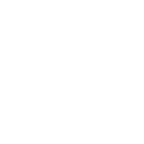 ELISA ALONSO