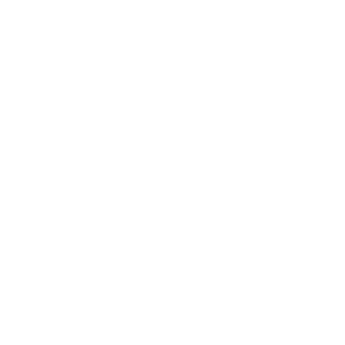 MULTIVIX