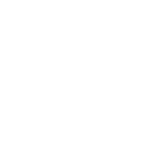 SILVA PNEUS